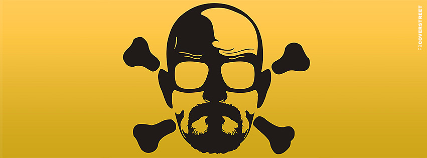 Heisenberg Skull Logo Breaking Bad Facebook Cover