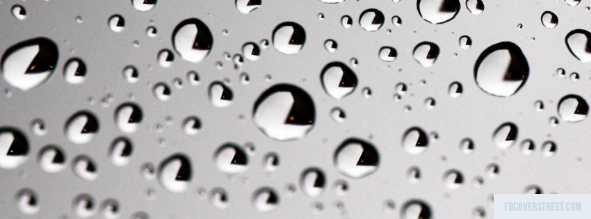 Water Droplets 2 Black and White Picture