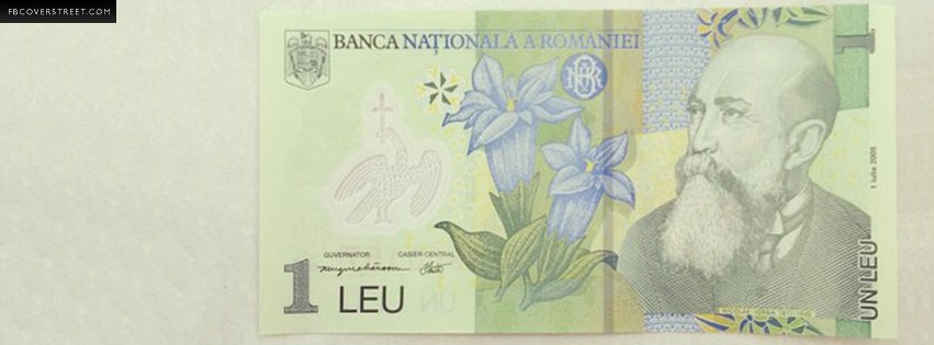One Romanian Leu Wallpaper