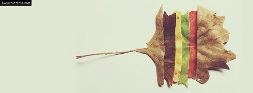 Fall Autumn Leaf Changes Wallpaper