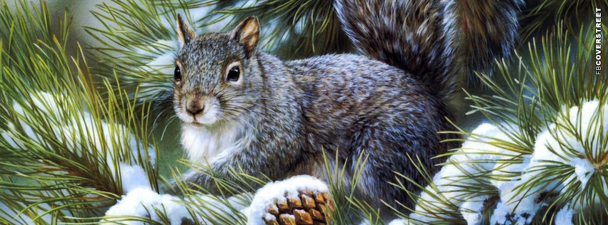 Winter Squirrel FB Cover  Picture