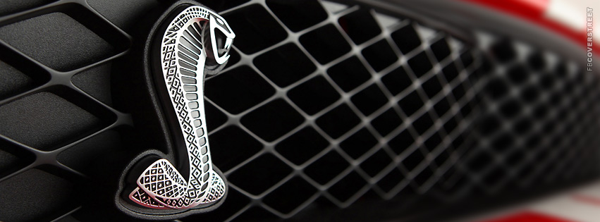 2011 Ford GT500 Coupe Grill Symbol  Wallpaper