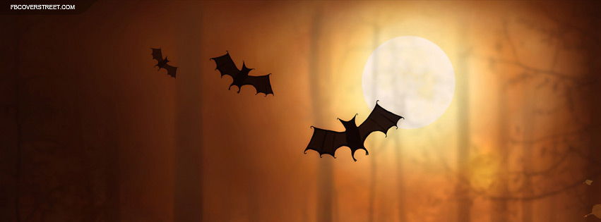 Bats Flying Over Moon 2 Picture