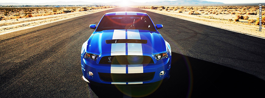 Shelby Blue  Wallpaper