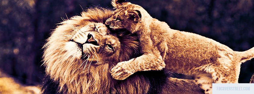 Lion and Cub Wallpaper