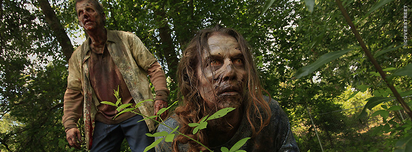 The Walking Dead Searching Zombies  Picture