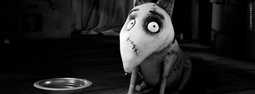 Frankenweenie Movie Cover  Picture