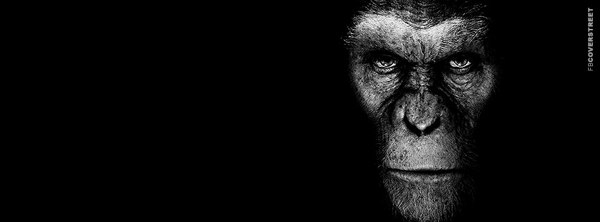 Rise of The Planet of The Apes Movie Cover  Picture