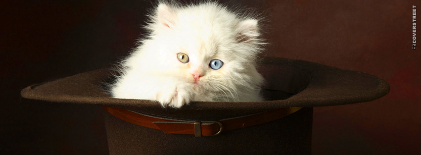 Kitten In A Hat  Picture