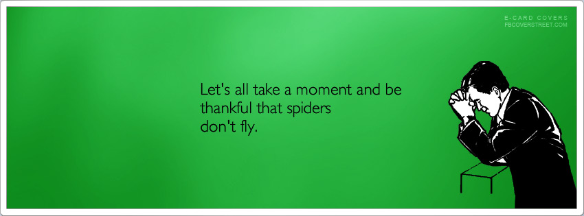 Be Thankful Spiders Dont Fly Picture