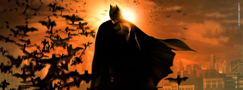 Batman Begins Scene  Picture