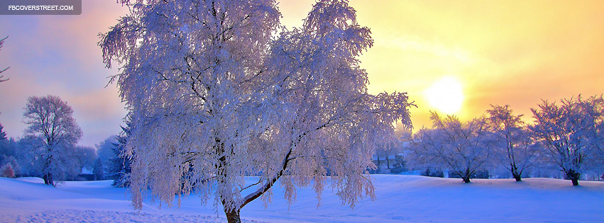 Winter Evening Light Facebook Cover