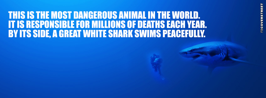 Most Dangerous Animal In The World  Wallpaper