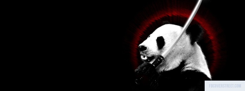 Panda 1 Picture
