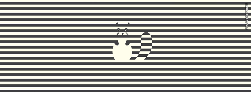 Raccoon Hiding Stripes  Picture
