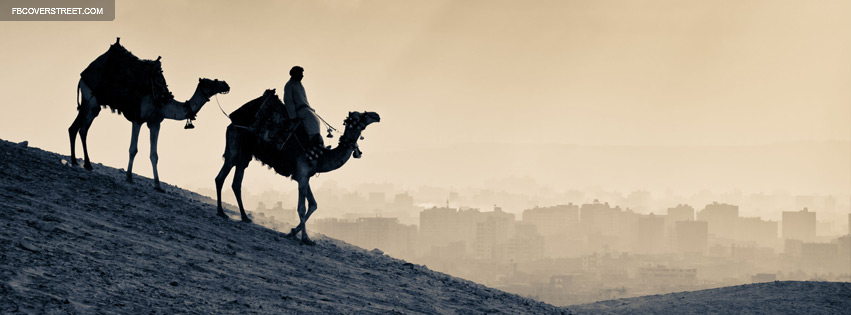 Cairo Egypt Camels Wallpaper