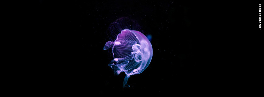 Purple and Blue Jellyfish  Wallpaper