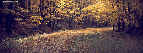 Trees Facebook Covers